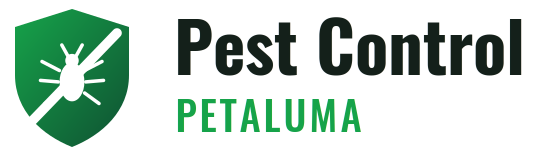 Petaluma Pest Control